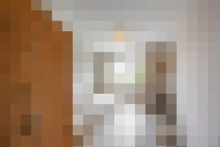 Bonhoefferstraat 39 Groningen thumbnail 22