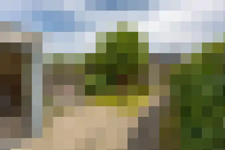 Bonhoefferstraat 39 Groningen thumbnail 29
