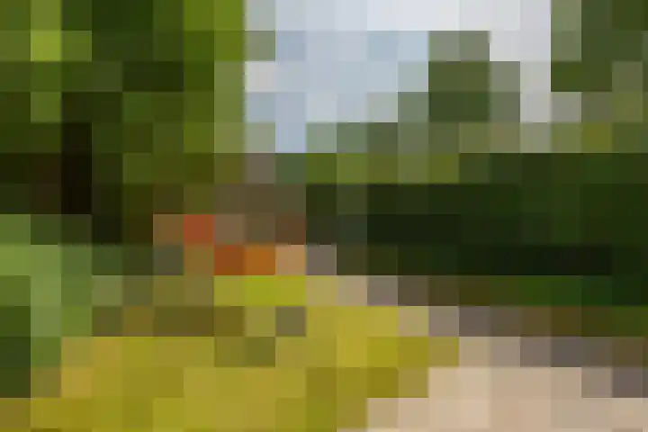 Bonhoefferstraat 39 Groningen thumbnail 30