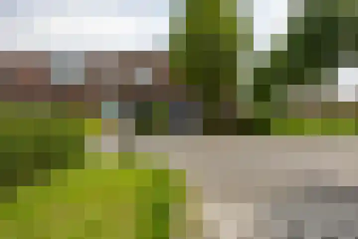 Bonhoefferstraat 39 Groningen thumbnail 33