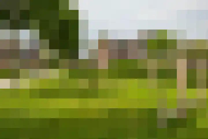 Bonhoefferstraat 39 Groningen thumbnail 34