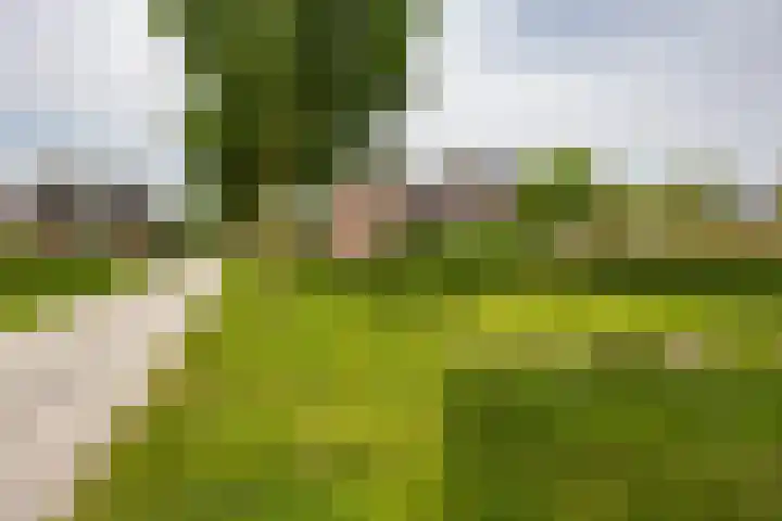 Bonhoefferstraat 39 Groningen thumbnail 35