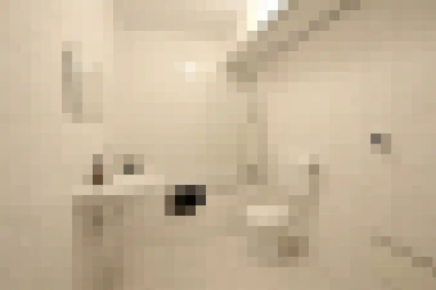 Bonifaciuslaan 111 Hilversum thumbnail 11