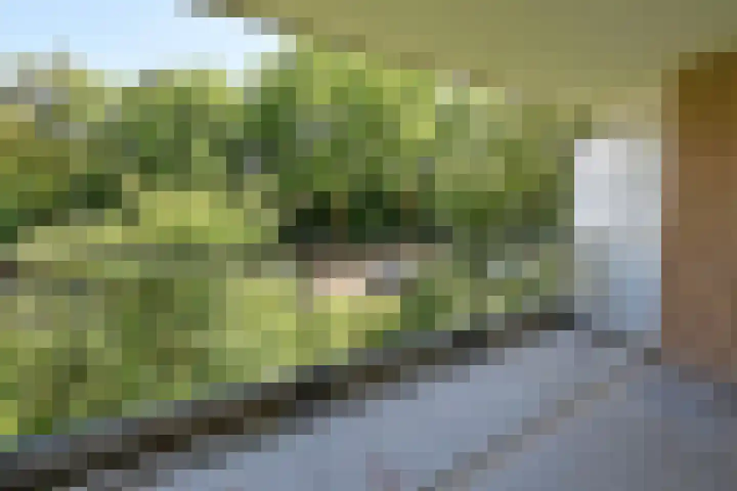 Bonifaciuslaan 111 Hilversum thumbnail 4