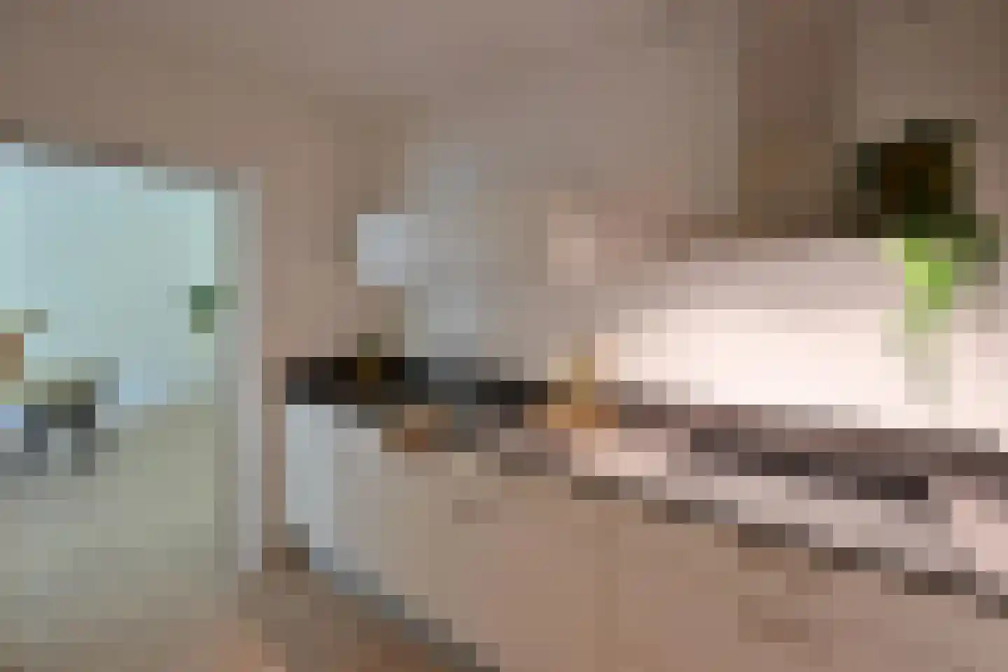 Bonifaciuslaan 111 Hilversum thumbnail 8