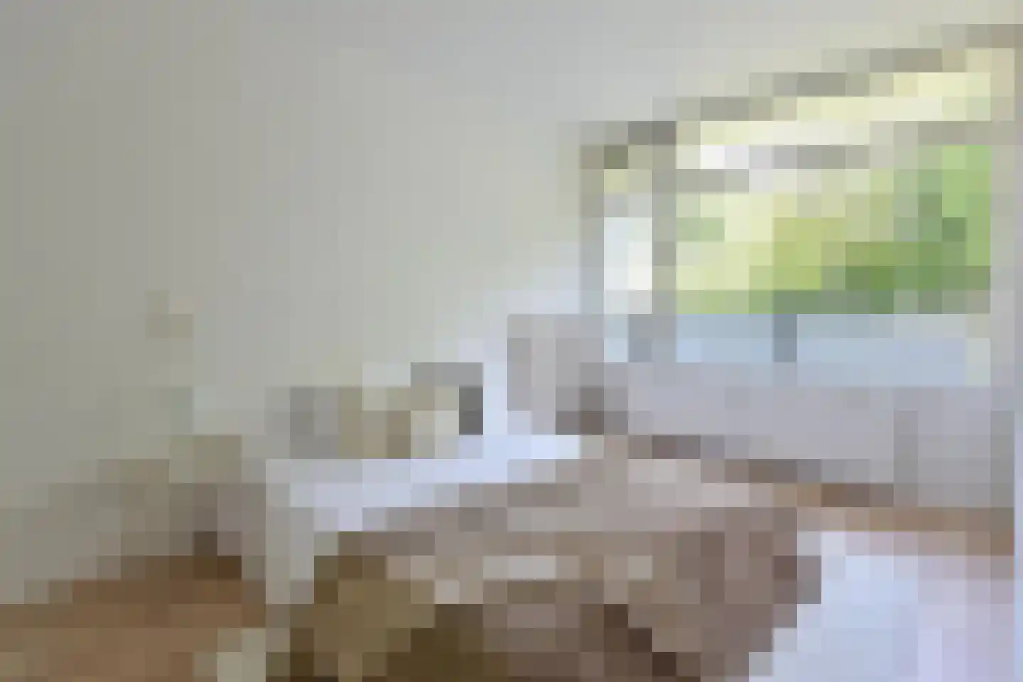 Bonifaciuslaan 111 Hilversum thumbnail 9