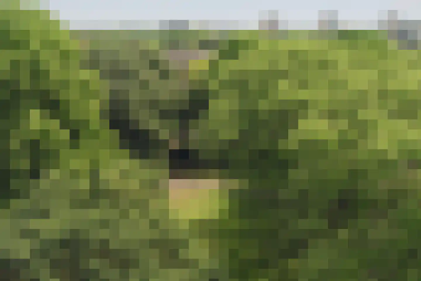 Bonifaciuslaan 162 Hilversum thumbnail 22