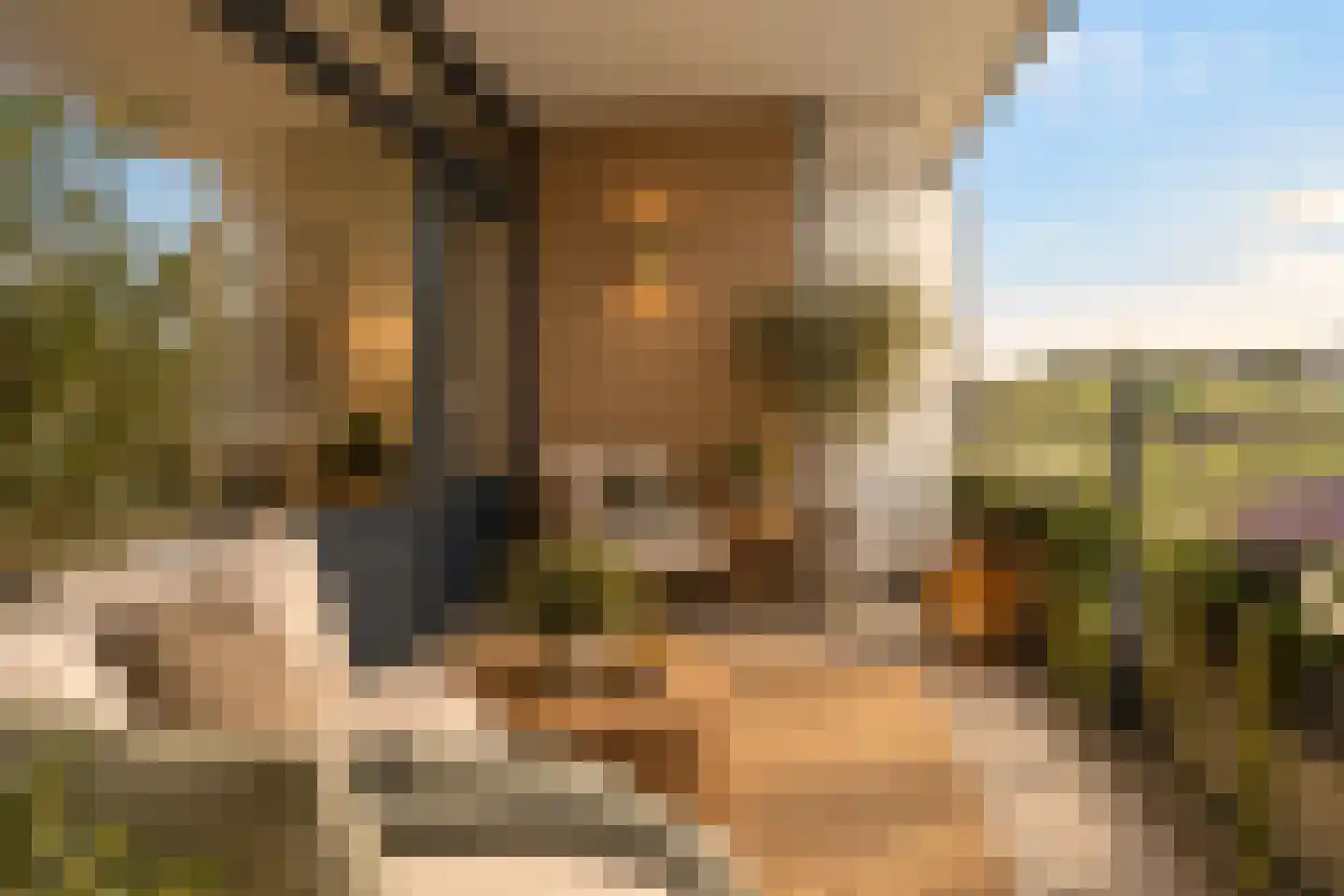 Bonifaciuslaan 180 Hilversum thumbnail 17
