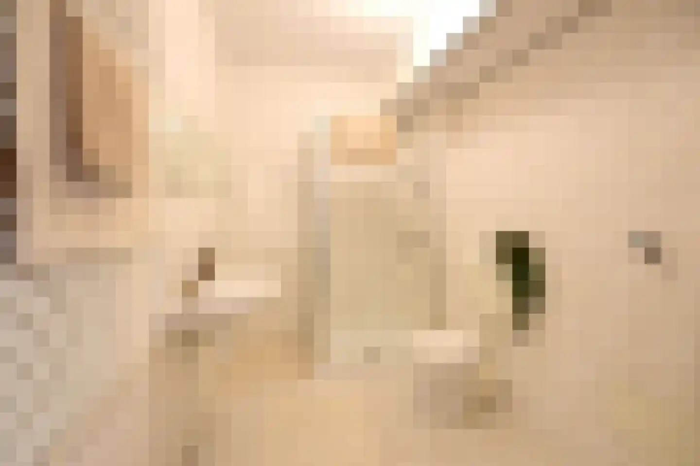 Bonifaciuslaan 27 Hilversum thumbnail 12