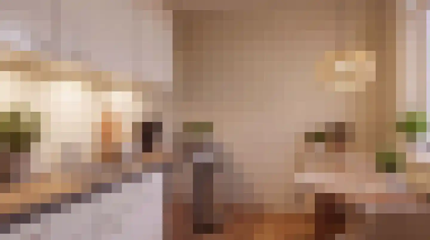 Bonifaciuslaan 56 Hilversum thumbnail 10