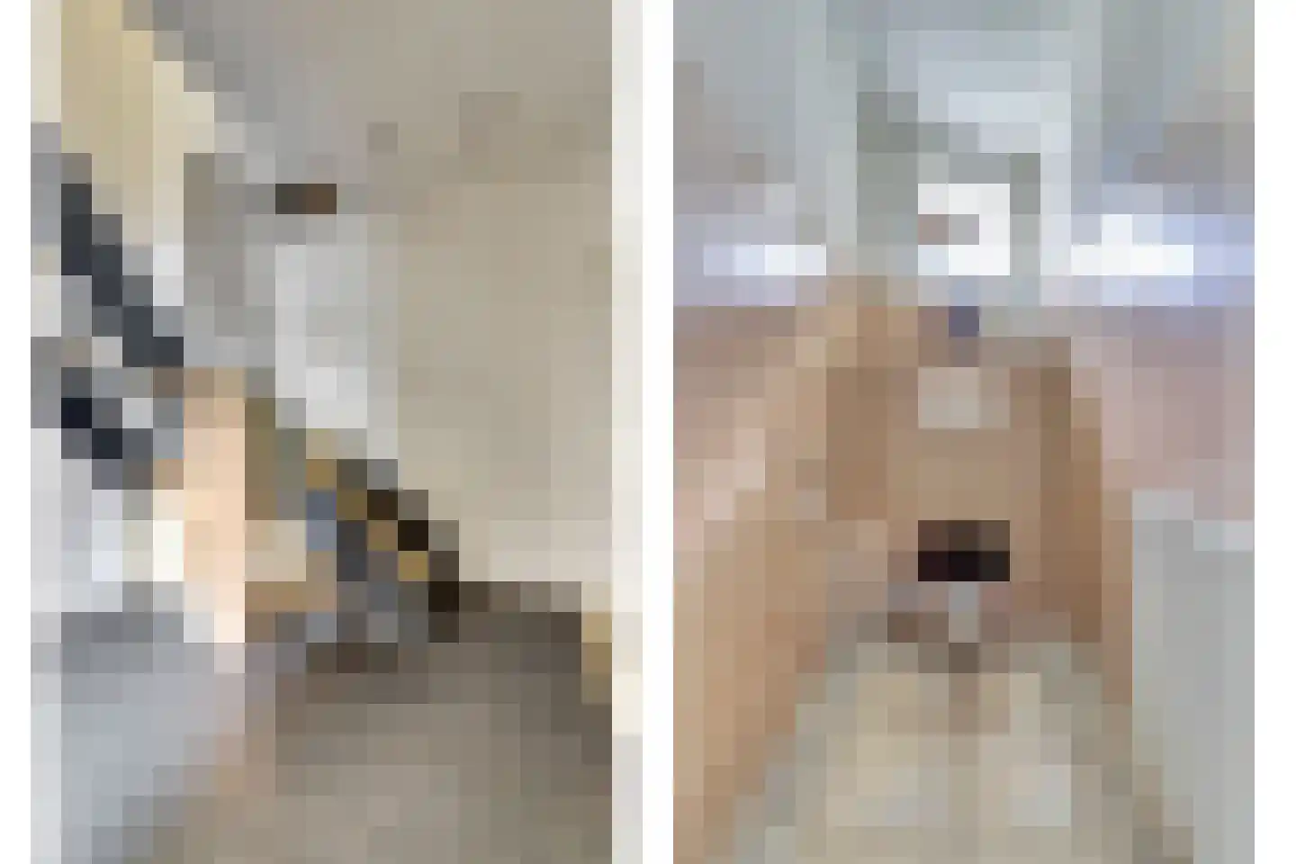 Bonifaciusstraat 1 Kwadendamme thumbnail 16