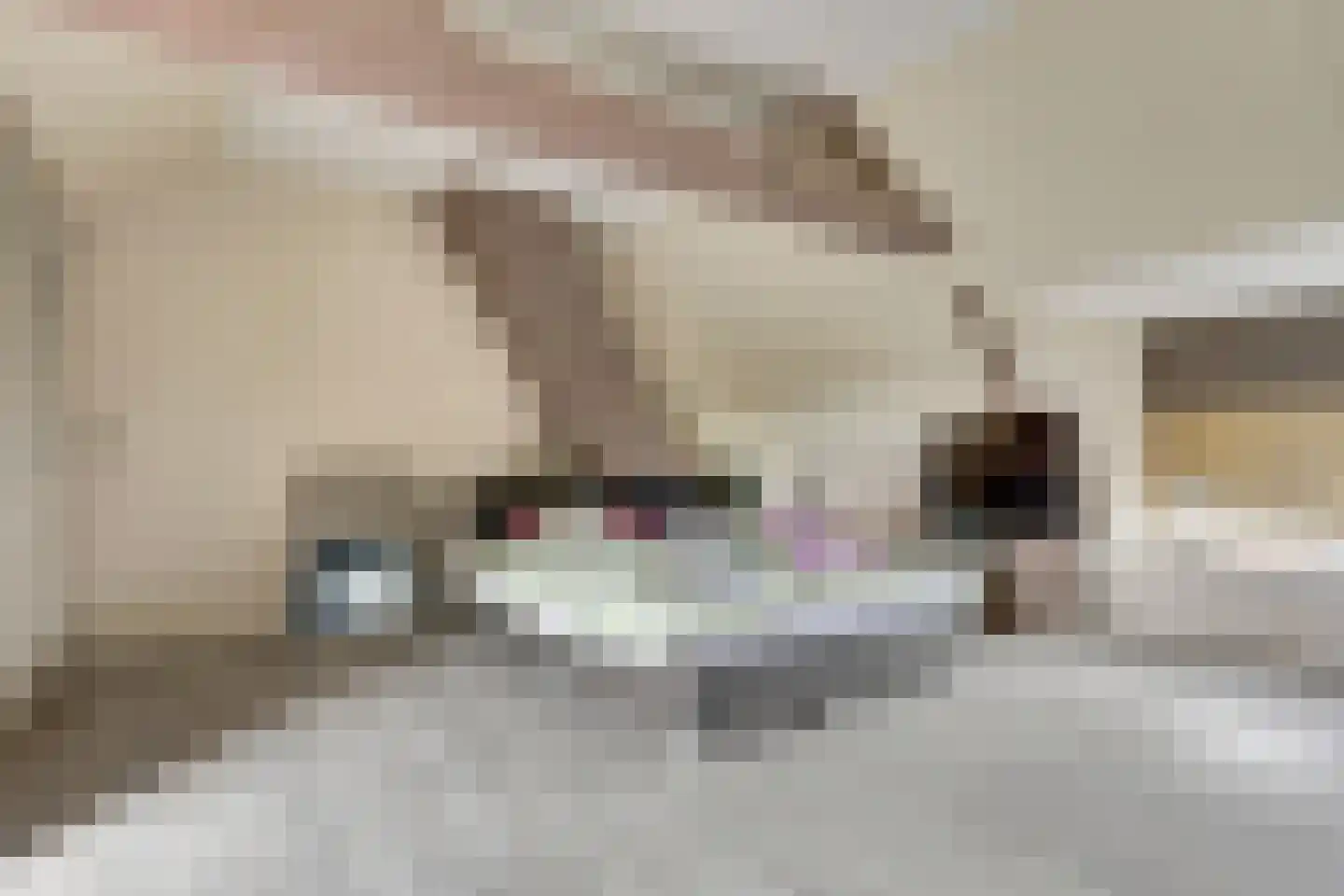 Bonifaciusstraat 1 Kwadendamme thumbnail 18
