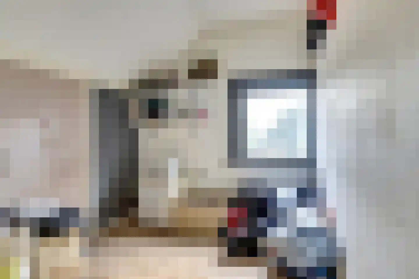 Bonifaciusstraat 1 Kwadendamme thumbnail 19