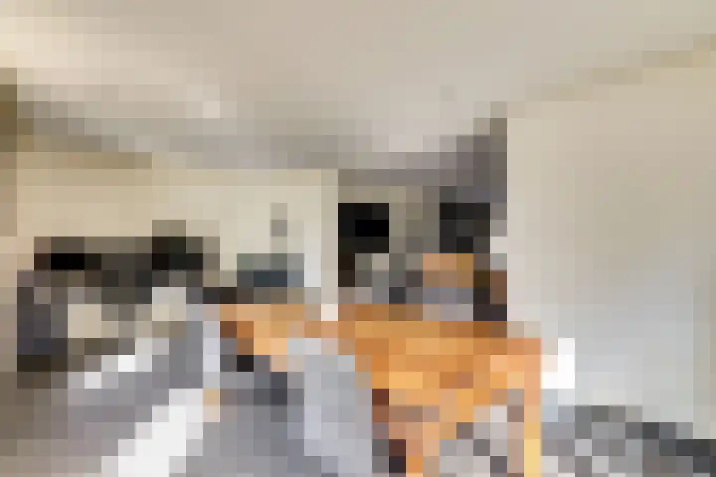 Bonifaciusstraat 1 Kwadendamme thumbnail 8