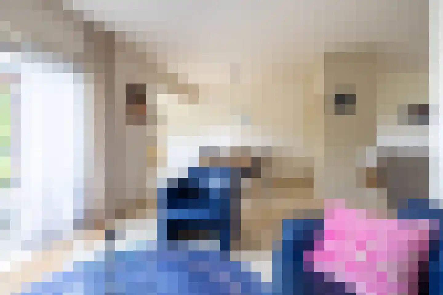 Bonifaciusstraat 10 Doetinchem thumbnail 12