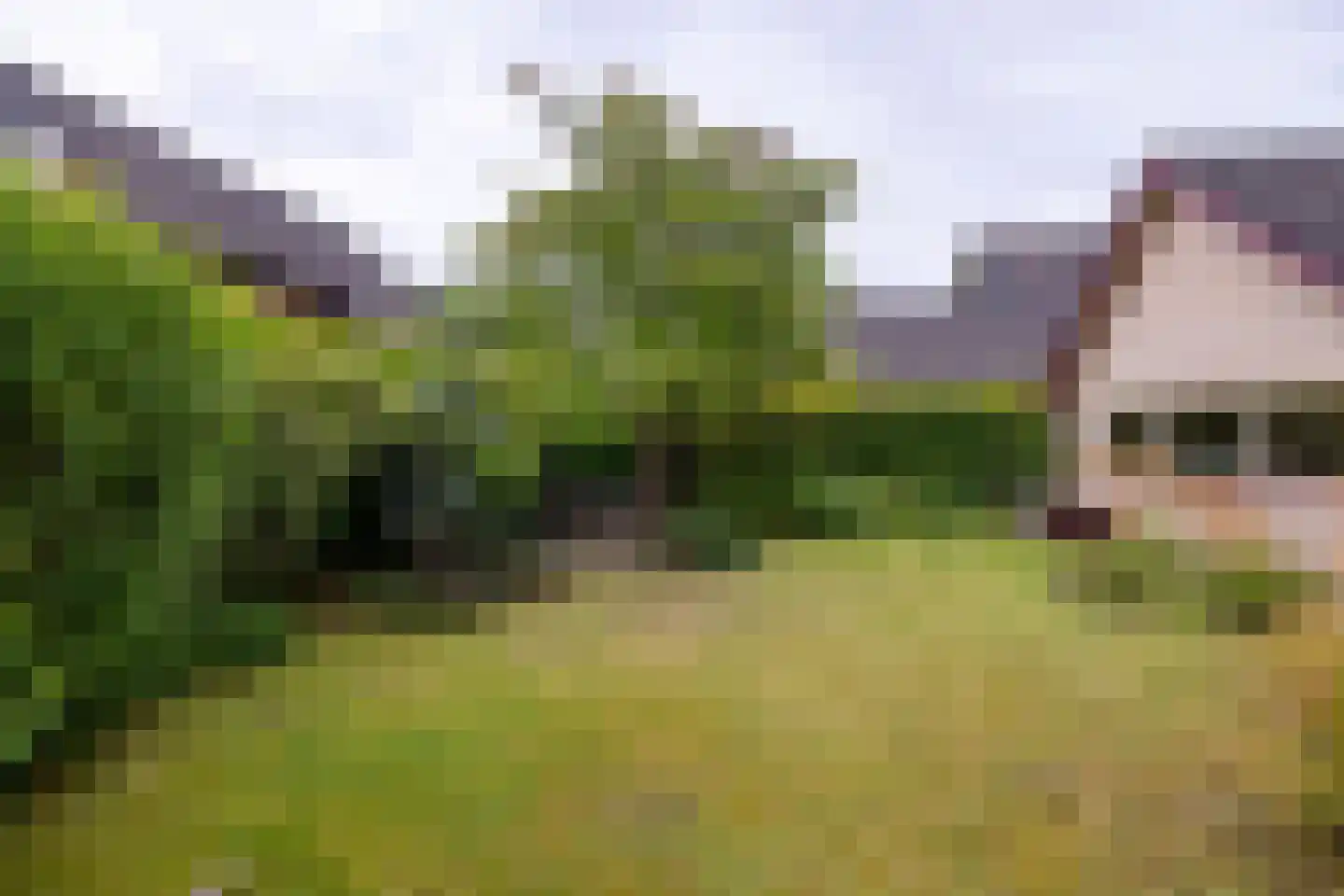 Bonifaciusstraat 10 Doetinchem thumbnail 22