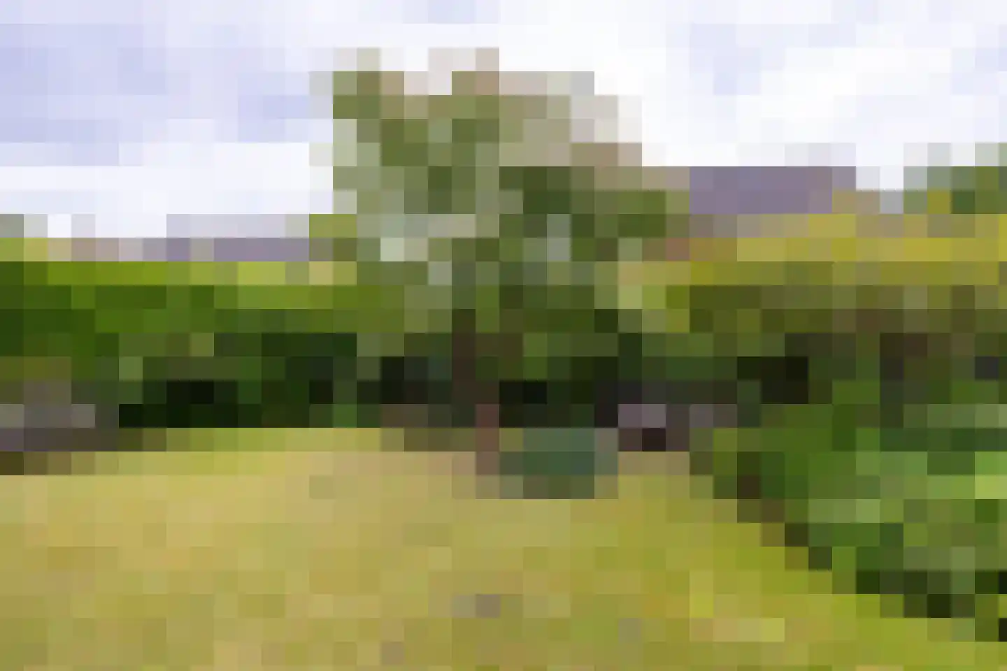 Bonifaciusstraat 10 Doetinchem thumbnail 23