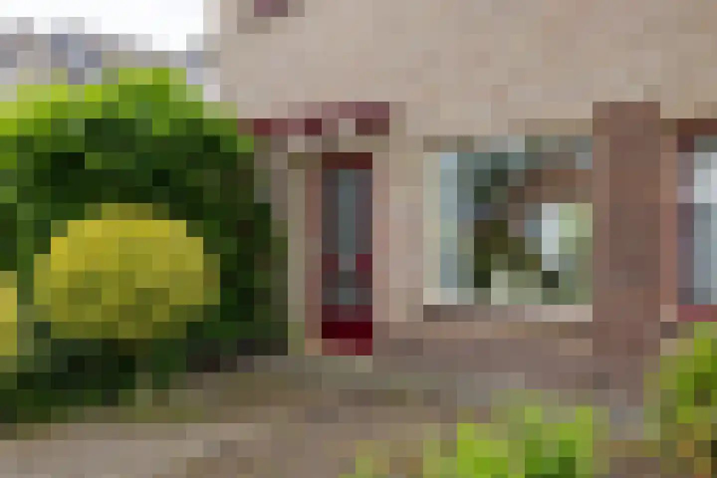 Bonifaciusstraat 10 Doetinchem thumbnail 30