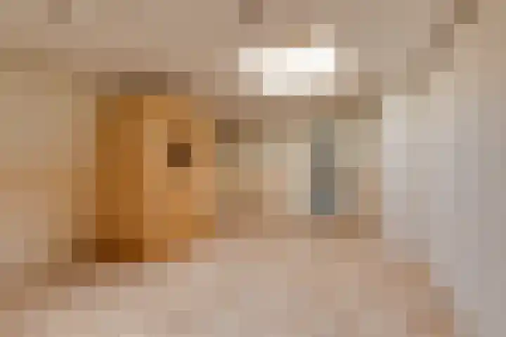 Bonifaciusstraat 13 Aalten thumbnail 29