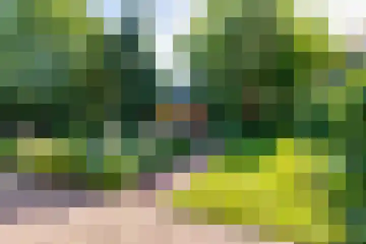 Bonifaciusstraat 13 Aalten thumbnail 36