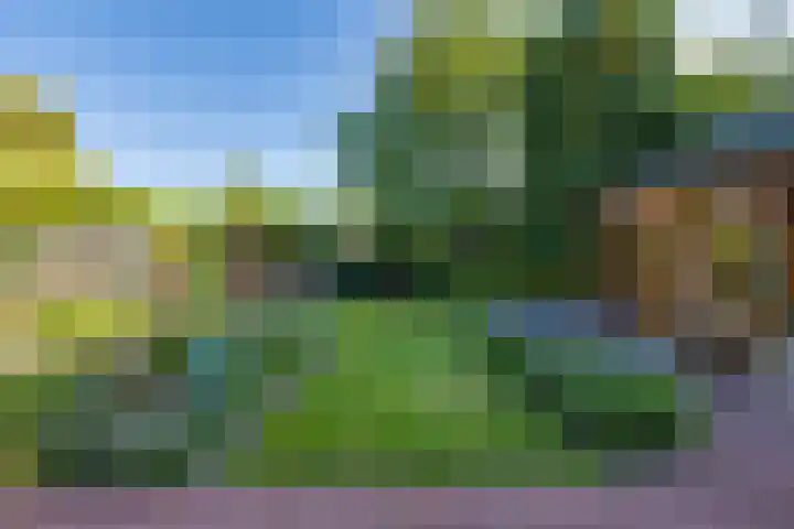 Bonifaciusstraat 13 Aalten thumbnail 37