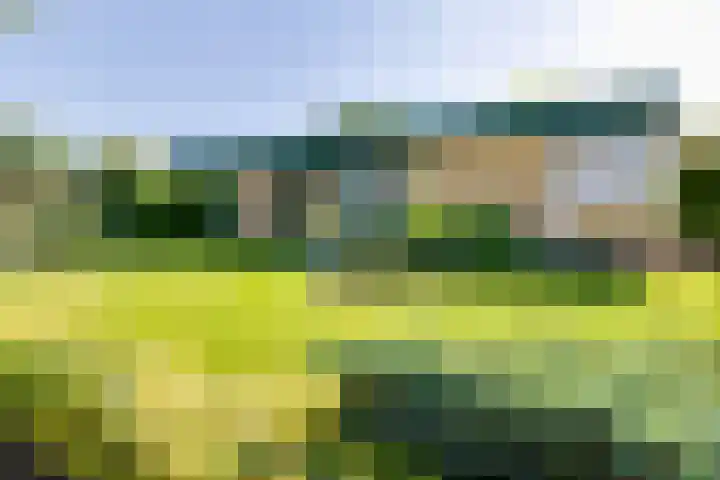 Bonifaciusstraat 13 Aalten thumbnail 4