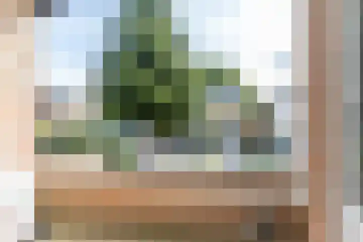 Bonifaciusstraat 4 Brunssum thumbnail 28
