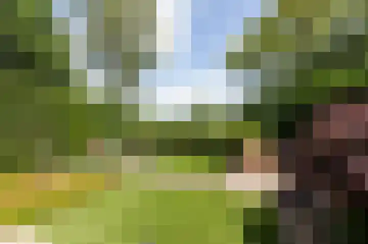Bonifaciusstraat 66 Doetinchem thumbnail 31
