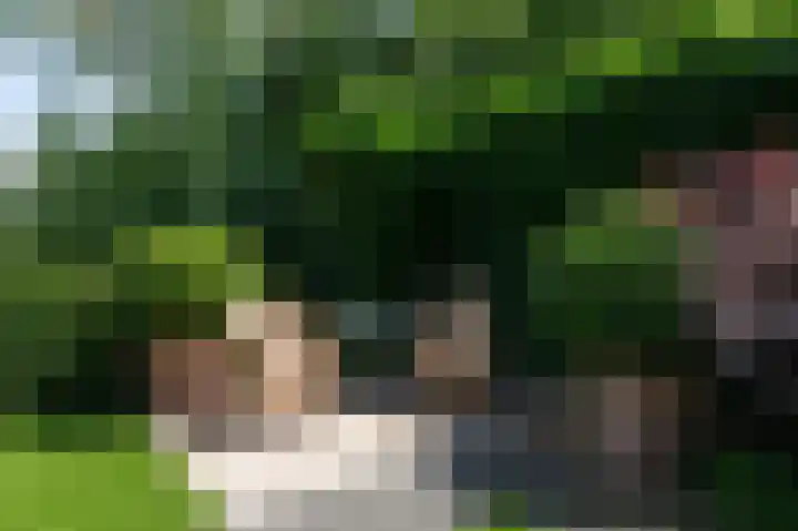 Bonifaciusstraat 66 Doetinchem thumbnail 33