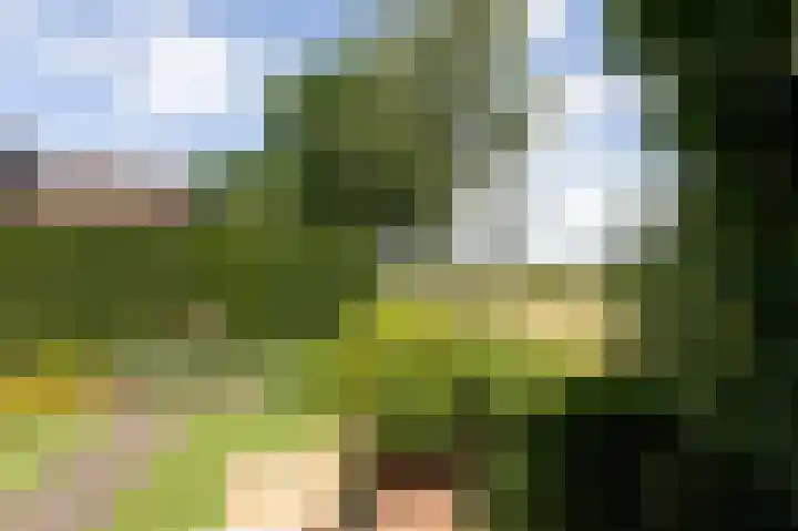 Bonifaciusstraat 66 Doetinchem thumbnail 35