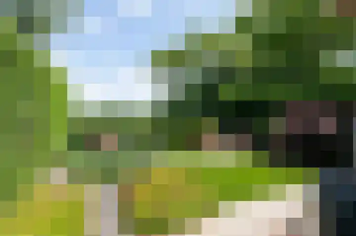 Bonifaciusstraat 66 Doetinchem thumbnail 4