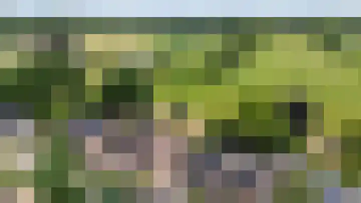 Bonifaciusstraat 66 Doetinchem thumbnail 6