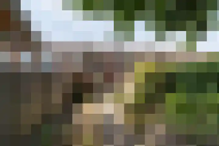 Bonifaciusstraat 7 Soest thumbnail 25