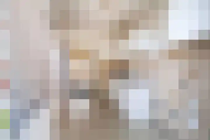 Bonifaciusstraat 7 Soest thumbnail 6