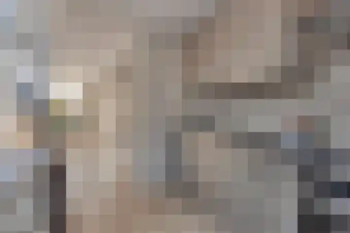 Bonifatius Guijtstraat 15 Volendam thumbnail 11