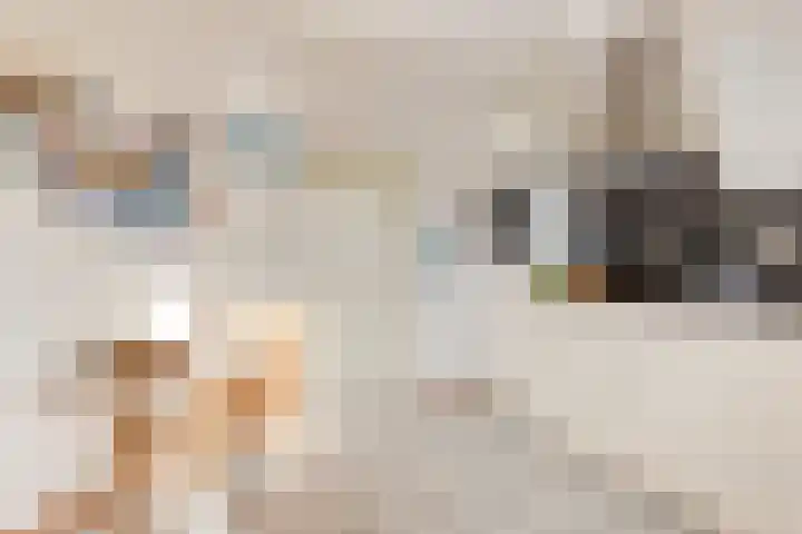 Bonifatiushof 11 Lichtenvoorde thumbnail 19