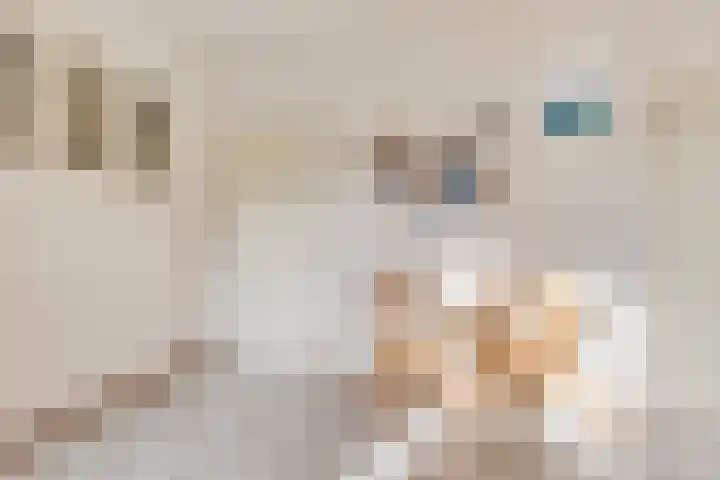 Bonifatiushof 11 Lichtenvoorde thumbnail 21