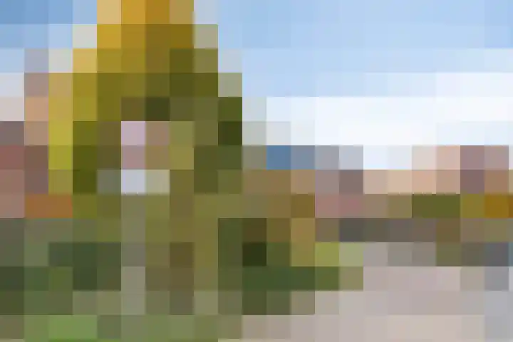 Bonifatiushof 11 Lichtenvoorde thumbnail 34