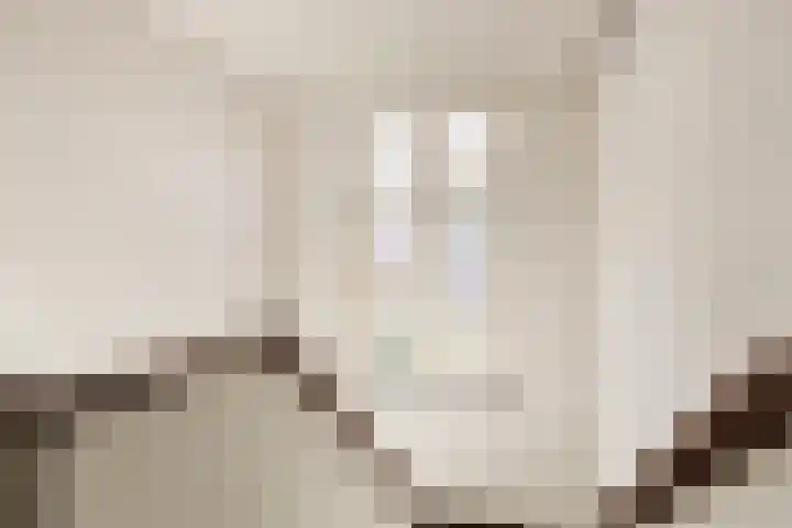 Bonifatiushof 11 Lichtenvoorde thumbnail 6