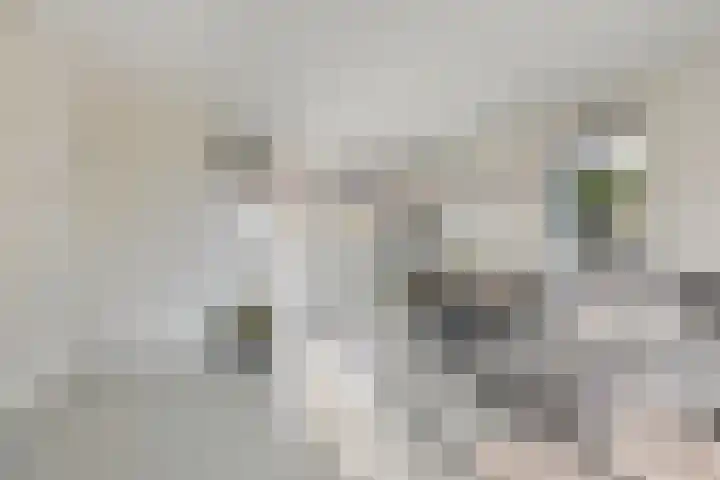Bonifatiushof 8 's-Heerenberg thumbnail 10
