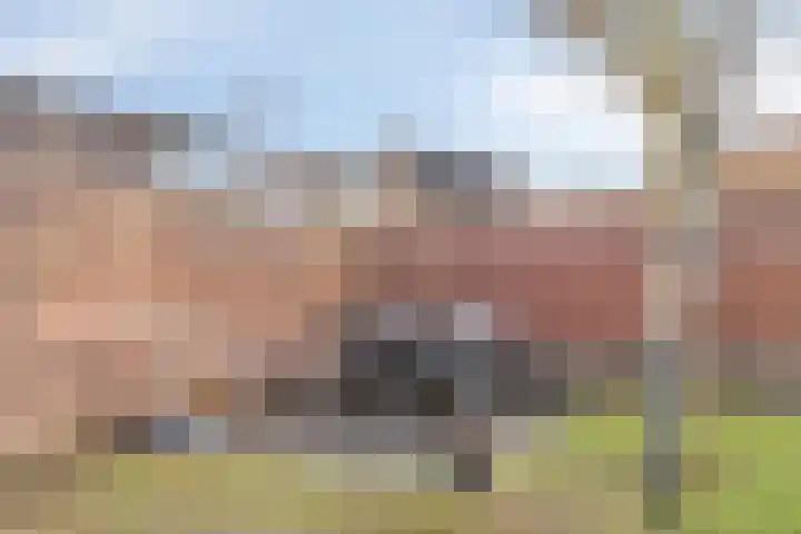 Bonifatiushof 8 's-Heerenberg thumbnail 37