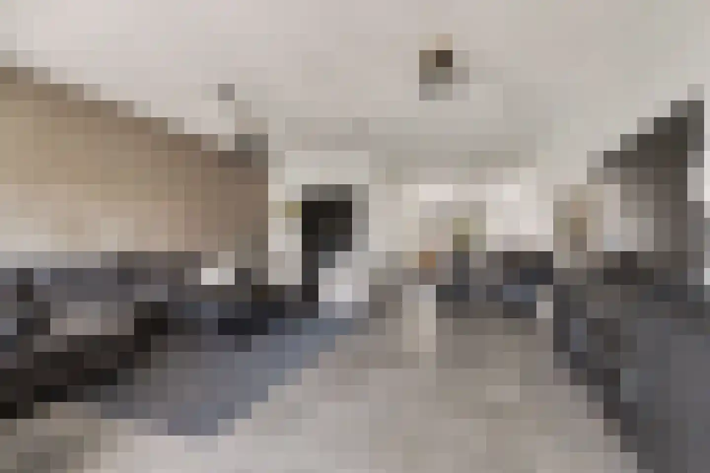 Bonifatiusstraat 11 Rijnsburg thumbnail 14