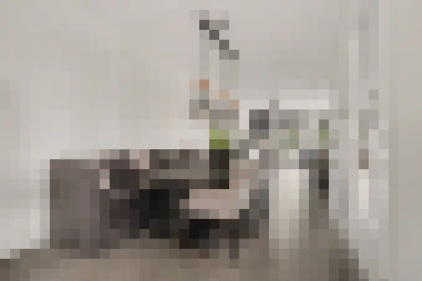 Bonifatiusstraat 11 Rijnsburg thumbnail 15