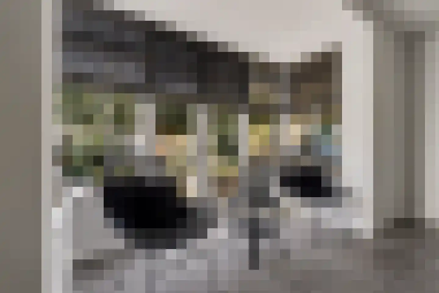 Bonifatiusstraat 11 Rijnsburg thumbnail 24