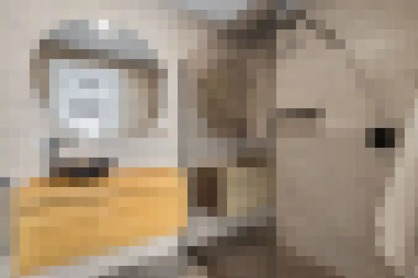 Bonifatiusstraat 11 Rijnsburg thumbnail 35