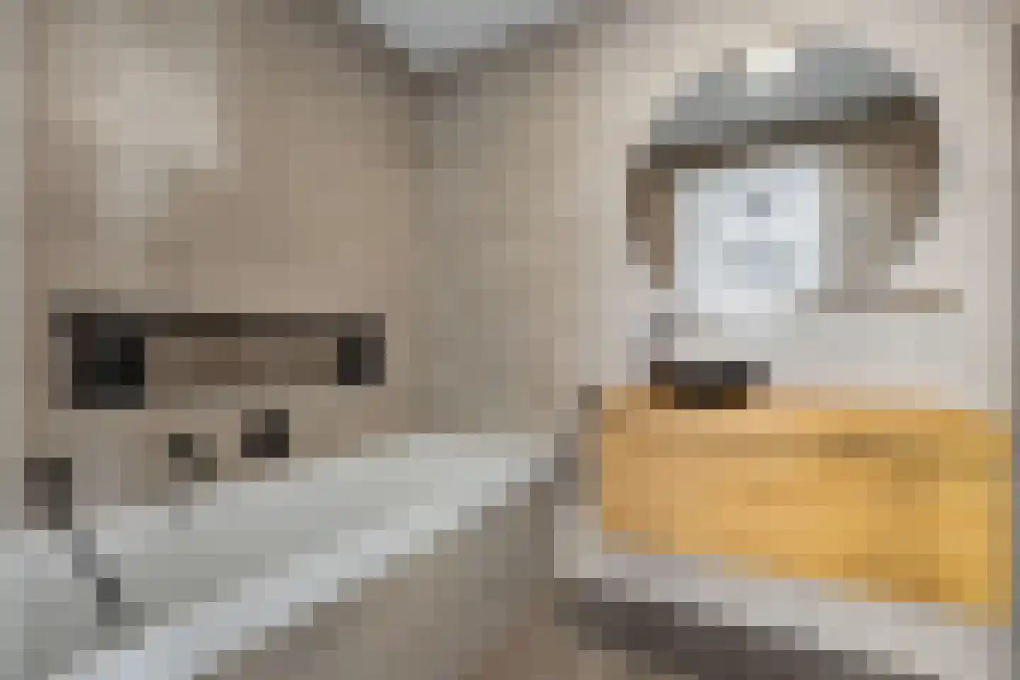 Bonifatiusstraat 11 Rijnsburg thumbnail 4