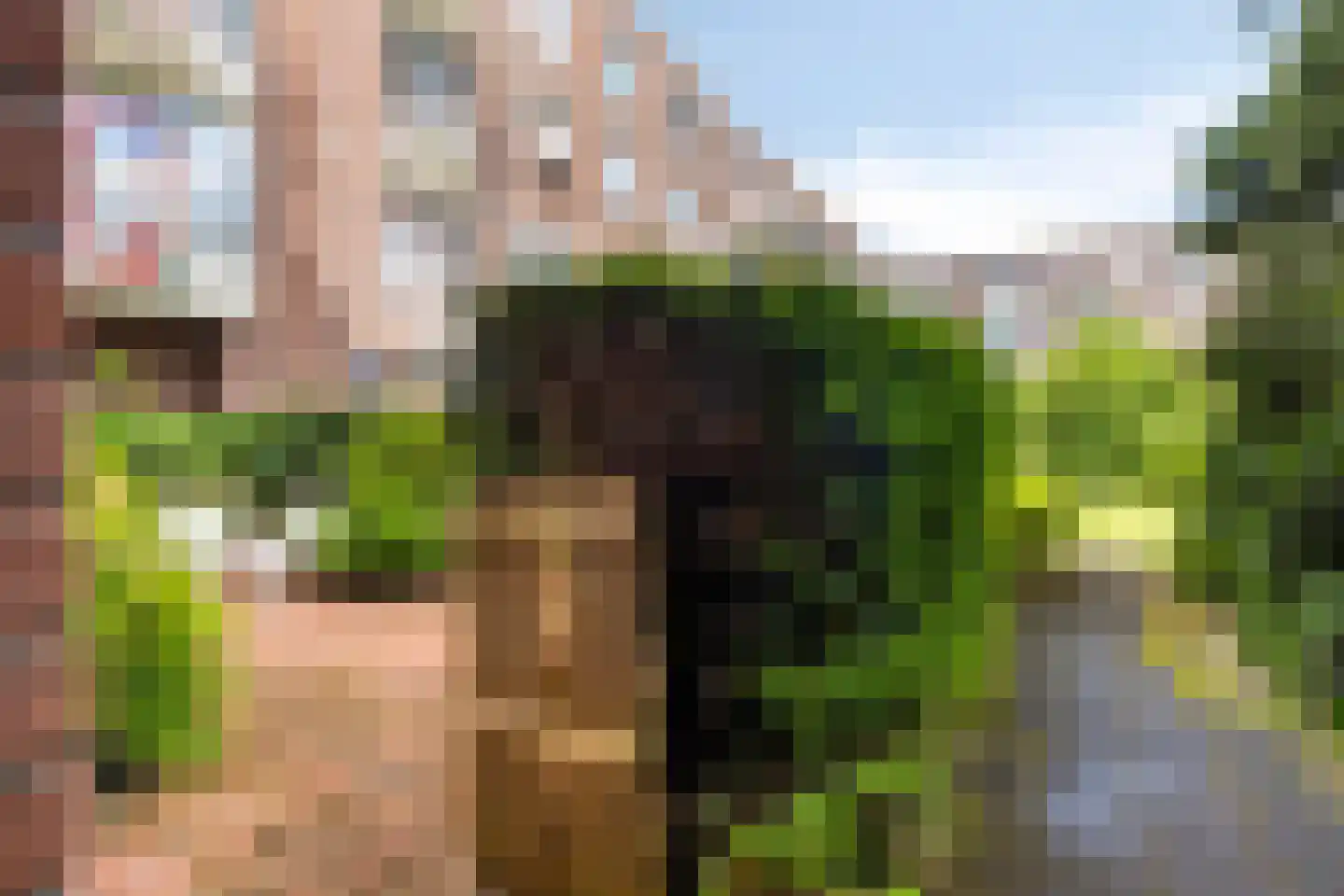 Boniplein 1 Amsterdam thumbnail 27