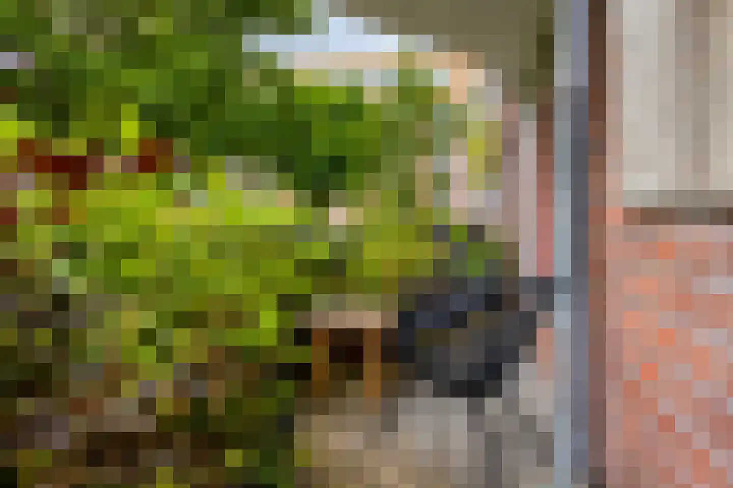 Boniplein 1 Amsterdam thumbnail 4