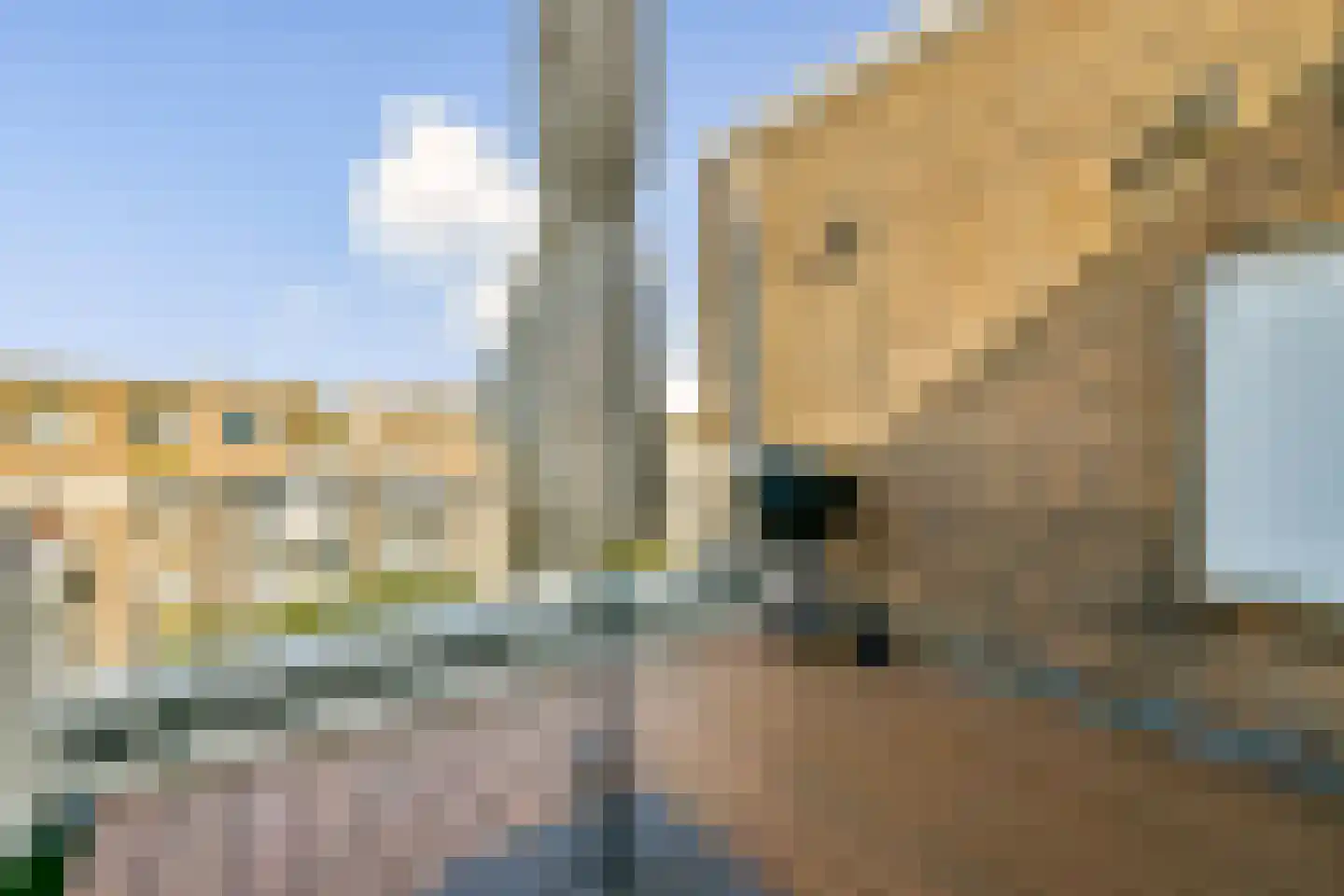 Boniplein 18 Amsterdam thumbnail 22