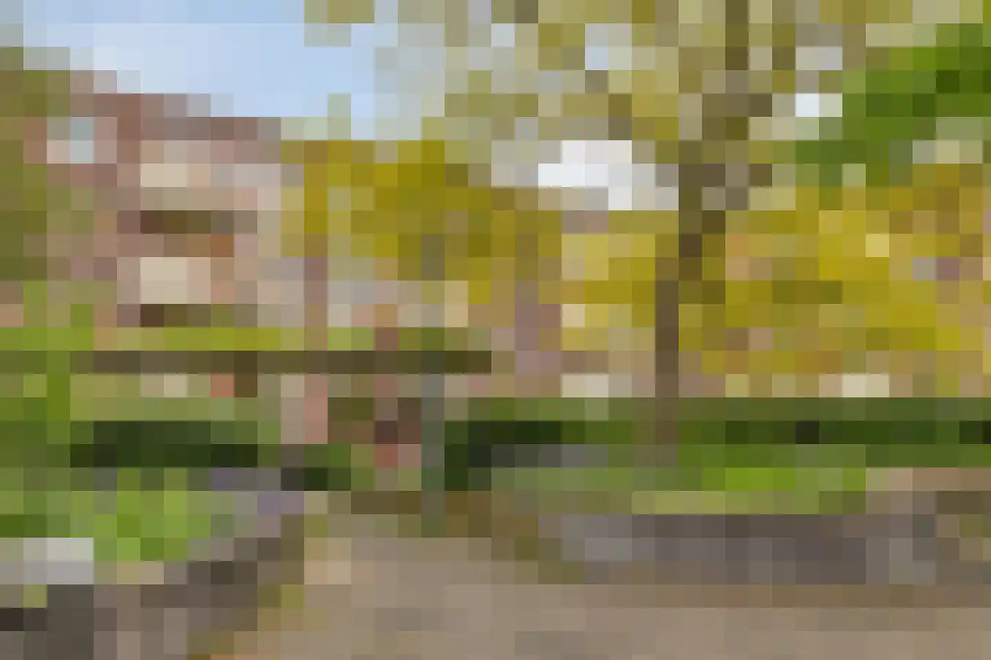 Boniplein 31 Amsterdam thumbnail 50